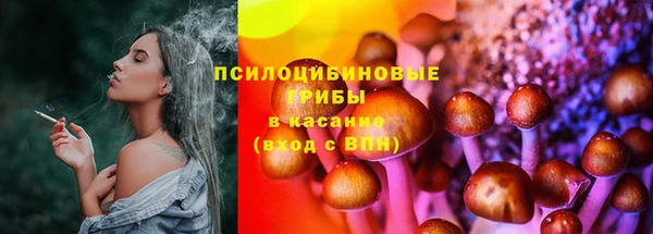 ГАЛЛЮЦИНОГЕННЫЕ ГРИБЫ Елабуга