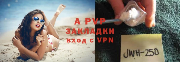 тгк Дмитровск