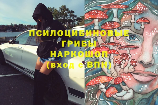 амф Дмитров