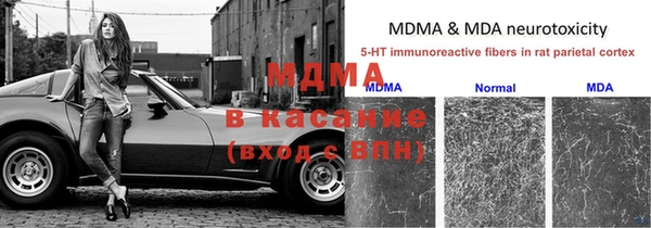 тгк Дмитровск