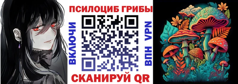 сайты даркнета телеграм  Южно-Сахалинск  Галлюциногенные грибы Psilocybine cubensis 